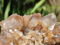 Natural Spirit Quartz Clusters x 2 From Boekenhouthoek, South Africa