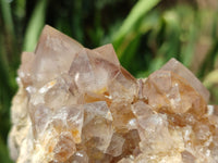 Natural Spirit Quartz Clusters x 2 From Boekenhouthoek, South Africa