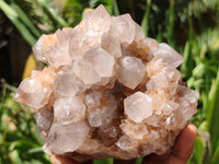 Natural Spirit Quartz Clusters x 2 From Boekenhouthoek, South Africa