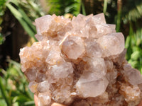 Natural Spirit Quartz Clusters x 2 From Boekenhouthoek, South Africa