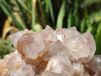 Natural Spirit Quartz Clusters x 2 From Boekenhouthoek, South Africa