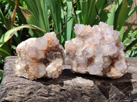 Natural Spirit Quartz Clusters x 2 From Boekenhouthoek, South Africa