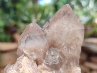 Natural Smokey Phantom Quartz Clusters x 6 From Luena, Congo