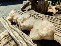 Natural Smokey Phantom Quartz Clusters x 6 From Luena, Congo