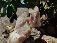 Natural Smokey Phantom Quartz Clusters x 6 From Luena, Congo