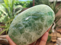 Polished Green Fluorite Standing Free Forms x 3 From Madagascar