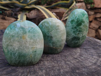 Polished Green Fluorite Standing Free Forms x 3 From Madagascar