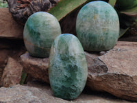 Polished Green Fluorite Standing Free Forms x 3 From Madagascar