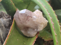 Natural Red Hematoid Quartz Clusters x 6 From Karoi, Zimbabwe