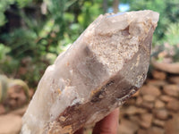 Natural Red Hematoid Quartz Clusters x 6 From Karoi, Zimbabwe