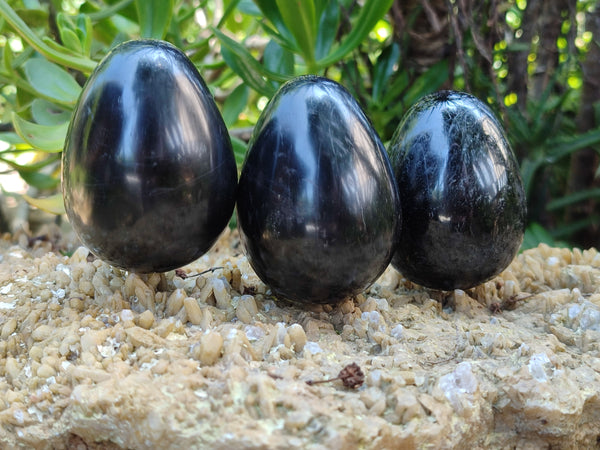 Polished Black Tourmaline Eggs x 6 From Madagascar