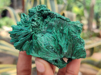 Natural Silky Malachite Specimens x 6 From Kasompe, Congo