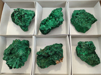 Natural Silky Malachite Specimens x 6 From Kasompe, Congo