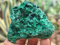 Natural Silky Malachite Specimens x 6 From Kasompe, Congo