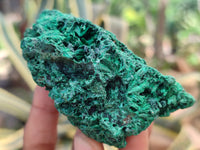 Natural Silky Malachite Specimens x 6 From Kasompe, Congo