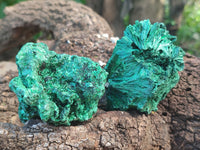 Natural Silky Malachite Specimens x 6 From Kasompe, Congo