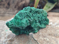 Natural Silky Malachite Specimens x 6 From Kasompe, Congo