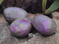 Polished Stichtite Palm Stones x 9 From Barberton, South Africa