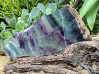 Polished Watermelon Fluorite Slices x 2 From Uis, Namibia