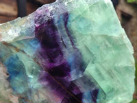 Polished Watermelon Fluorite Slices x 2 From Uis, Namibia