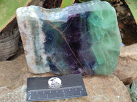 Polished Watermelon Fluorite Slices x 2 From Uis, Namibia