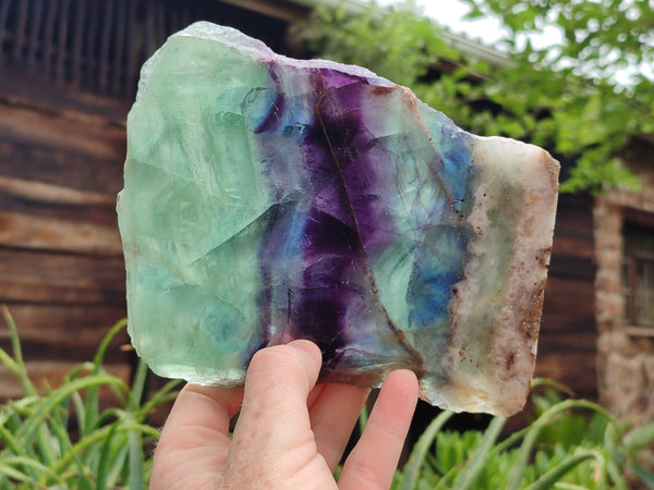 Polished Watermelon Fluorite Slices x 2 From Uis, Namibia