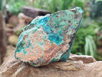 Natural Shattuckite with Chrysocolla and Malachite x 12 from Kaokoveld, Namibia