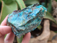 Natural Shattuckite with Chrysocolla and Malachite x 12 from Kaokoveld, Namibia