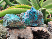 Natural Shattuckite with Chrysocolla and Malachite x 12 from Kaokoveld, Namibia