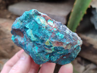 Natural Shattuckite with Chrysocolla and Malachite x 12 from Kaokoveld, Namibia