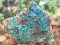 Natural Shattuckite with Chrysocolla and Malachite x 12 from Kaokoveld, Namibia