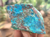 Natural Shattuckite with Chrysocolla and Malachite x 12 from Kaokoveld, Namibia