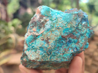 Natural Shattuckite with Chrysocolla and Malachite x 12 from Kaokoveld, Namibia