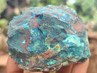 Natural Shattuckite with Chrysocolla and Malachite x 12 from Kaokoveld, Namibia