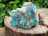 Natural Shattuckite with Chrysocolla and Malachite x 12 from Kaokoveld, Namibia