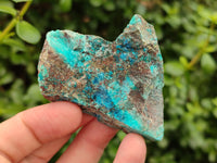 Natural Shattuckite with Chrysocolla and Malachite x 12 from Kaokoveld, Namibia