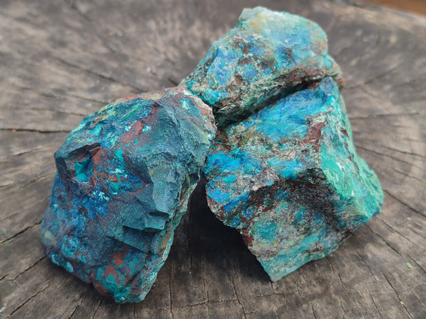 Natural Shattuckite with Chrysocolla and Malachite x 12 from Kaokoveld, Namibia