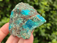 Natural Shattuckite with Chrysocolla and Malachite x 12 from Kaokoveld, Namibia