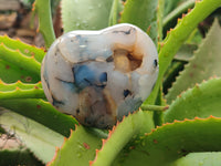 Polished Dendritic Agate Gemstone Hearts x 6 From Madagascar