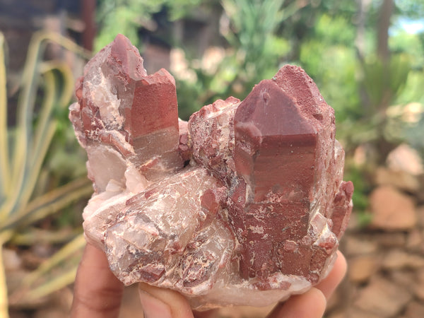 Natural Red Hematoid Quartz Clusters x 3 From Karoi, Zimbabwe