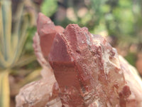 Natural Red Hematoid Quartz Clusters x 3 From Karoi, Zimbabwe