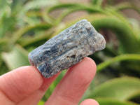 Natural Kyanite Crystals x 60 From Zimbabwe