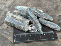 Natural Kyanite Crystals x 60 From Zimbabwe