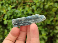 Natural Kyanite Crystals x 60 From Zimbabwe