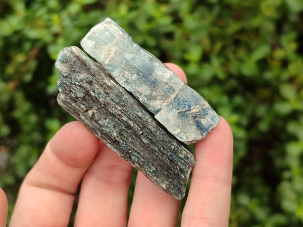 Natural Kyanite Crystals x 60 From Zimbabwe