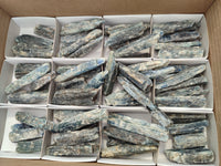 Natural Kyanite Crystals x 60 From Zimbabwe