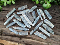 Natural Kyanite Crystals x 60 From Zimbabwe