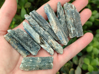 Natural Kyanite Crystals x 60 From Zimbabwe