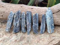 Natural Kyanite Crystals x 60 From Zimbabwe