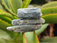 Natural Kyanite Crystals x 60 From Zimbabwe